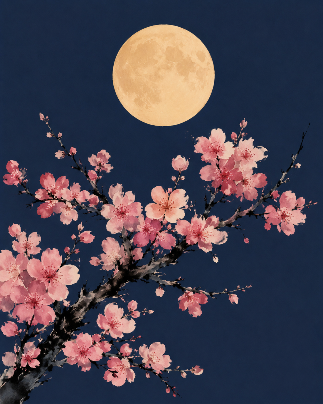 Midnight Ephemeral